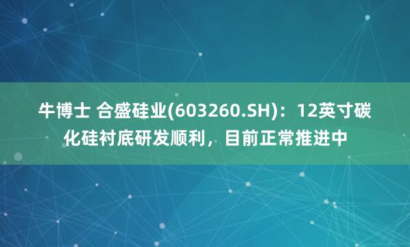 牛博士 合盛硅业(603260.SH)：12英寸碳化硅衬底研发顺利，目前正常推进中