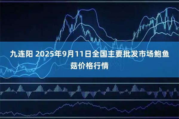九连阳 2025年9月11日全国主要批发市场鲍鱼菇价格行情