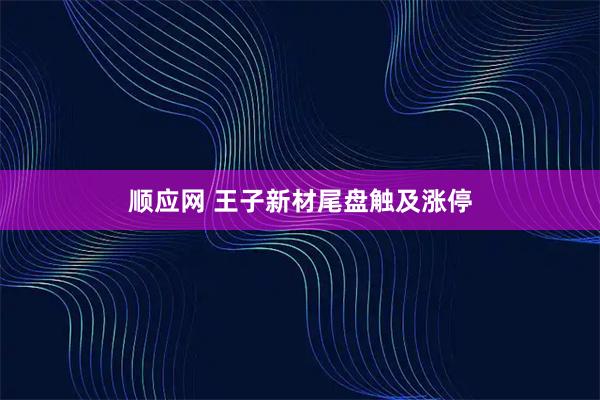 顺应网 王子新材尾盘触及涨停