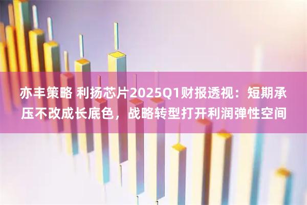 亦丰策略 利扬芯片2025Q1财报透视：短期承压不改成长底色，战略转型打开利润弹性空间