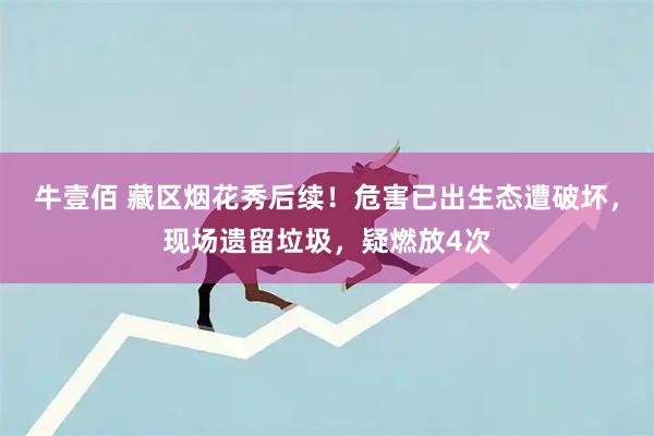 牛壹佰 藏区烟花秀后续！危害已出生态遭破坏，现场遗留垃圾，疑燃放4次