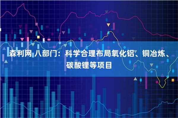 森利网 八部门：科学合理布局氧化铝、铜冶炼、碳酸锂等项目