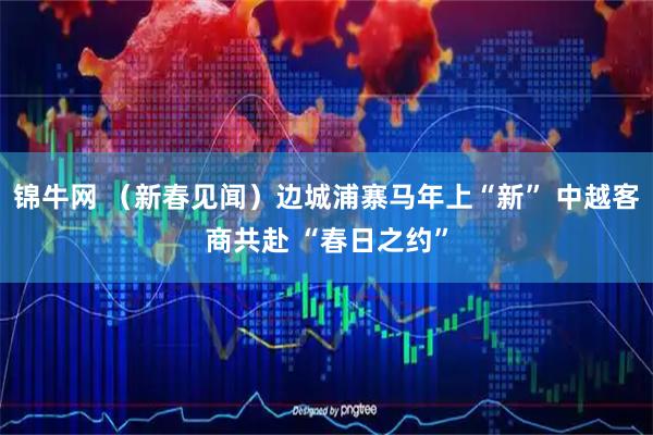 锦牛网 （新春见闻）边城浦寨马年上“新” 中越客商共赴 “春日之约”
