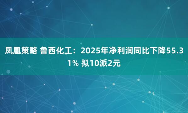 凤凰策略 鲁西化工:2025年净利润同比下降55.31% 拟10派2元